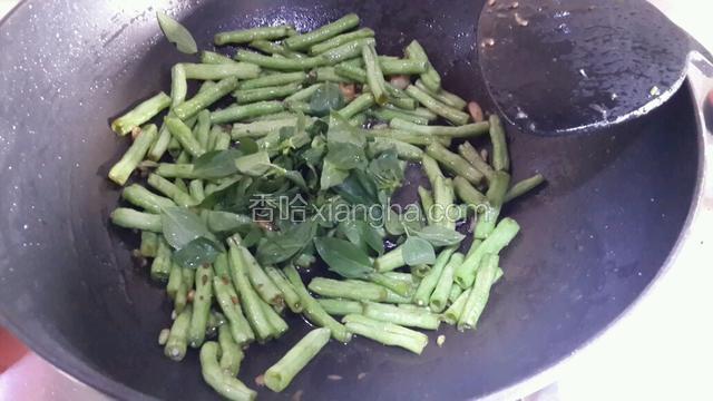 加入九层塔，关火，用余温翻炒均匀。