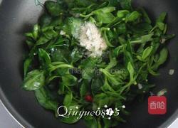 炒穿心莲的做法图解4