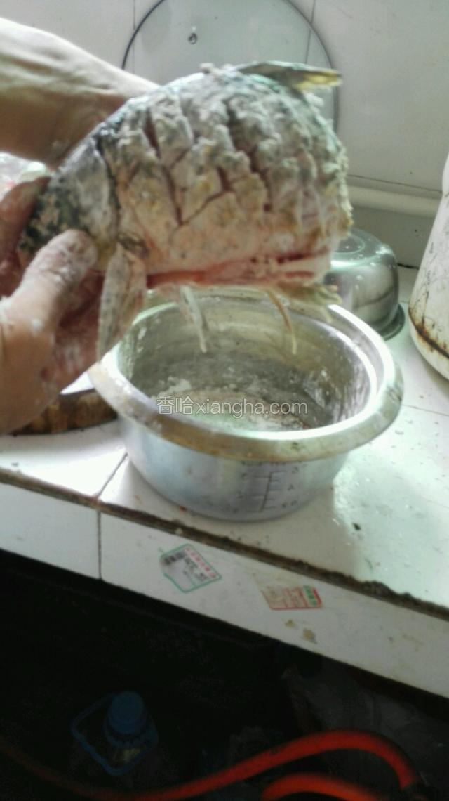 在鱼的两侧均匀的抹上生粉