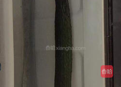 凉拌小黄瓜的做法图解1