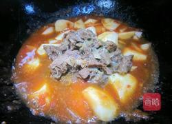 西红柿炖牛腩的做法图解13