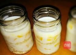 燕麦芒果酸奶的做法图解7