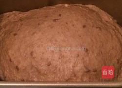 亚麻籽麦包的做法图解1