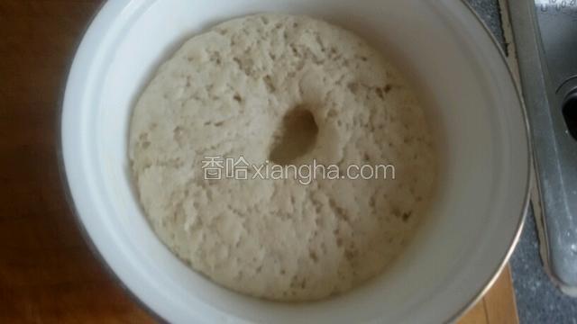 普通面粉加酵母粉用温水和好，发酵2个小时后加1克碱水揉均