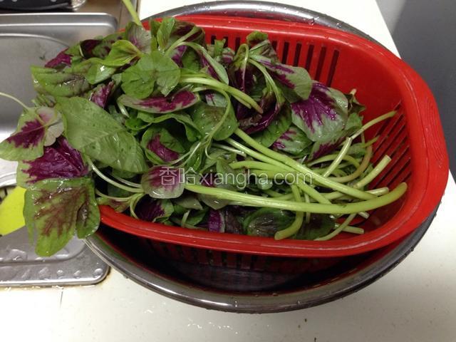 苋菜去根、去黄叶，洗净备用