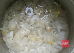 多彩银耳汤的做法图解1