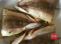 奎龙鱼饼的做法图解4