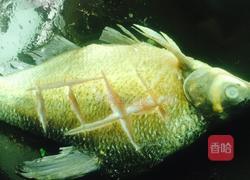 红烧鳊鱼的做法图解2