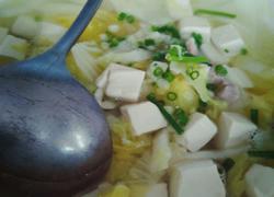 豆腐白菜肉丝汤