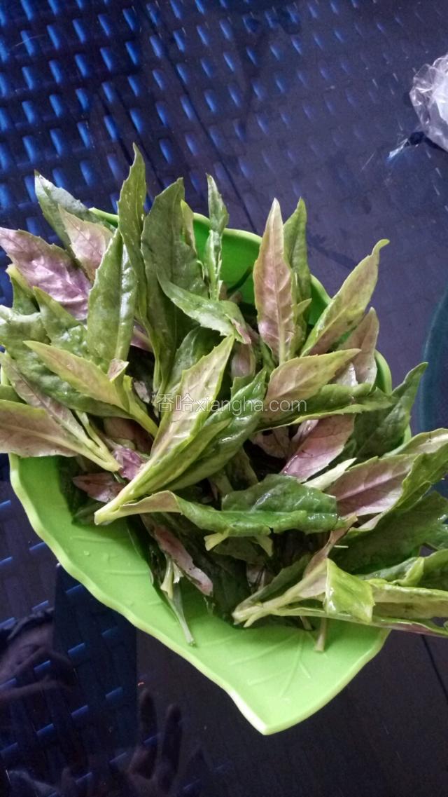 血皮菜折好洗干净！