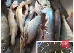 九层塔白菜什鱼汤的做法图解1