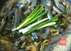 雪菜跳跳鱼的做法图解7