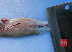 马鲛鱼丸汤的做法图解2