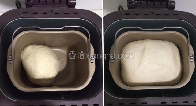 面团揉好后不动，让它静静地待在面包机里常温发酵至2倍大（现在是浙江夏天8月，冬天要改变时间和温度）一发我大概发了40分钟。这会刚好有空，取出豆沙分成25份，每份10克，滚远后盖上保鲜膜，好了可以休息会咯