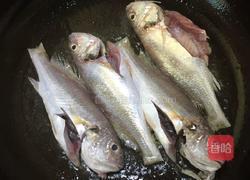 划鱼煲的做法图解2