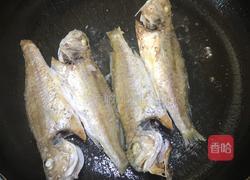 划鱼煲的做法图解3