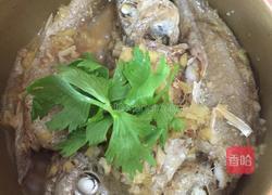 划鱼煲的做法图解9