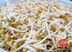 自制豆芽(环保版)的做法图解6