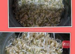 自制豆芽(环保版)的做法图解5