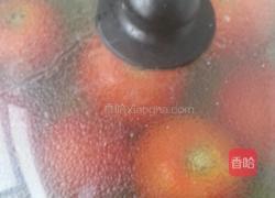 西红柿酱的做法图解3