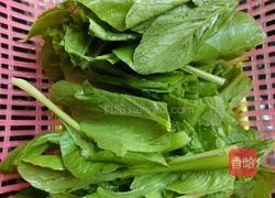 车螺芥菜汤的做法图解1