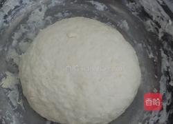 胡萝卜肉馅包的做法图解2