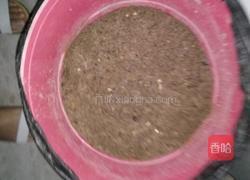 自制绿豆芽（沙培法）的做法图解2