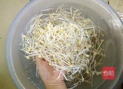 自制绿豆芽(沙培法)的做法图解10