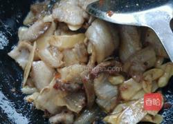 仔姜回锅肉的做法图解4