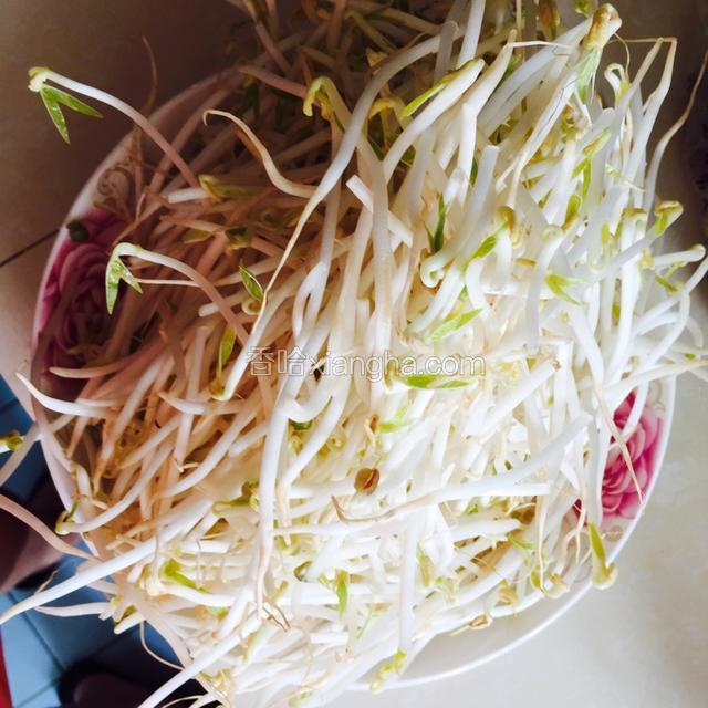 绿豆芽泡洗，控水，沥干，备用