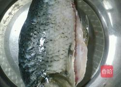 干烧鲫鱼的做法图解1