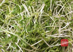 空心菜苗炒腊肠的做法图解2