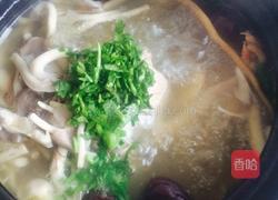 当归鸽子汤的做法图解5