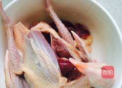 当归鸽子汤的做法图解1