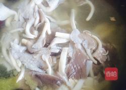 当归鸽子汤的做法图解4