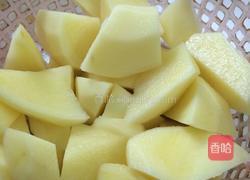 土豆炖排骨的做法图解5