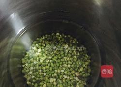 鲜百合绿豆沙的做法图解6