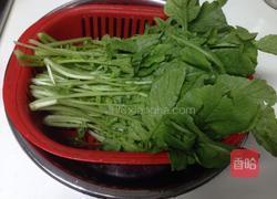 蒜蓉萝卜菜的做法图解2