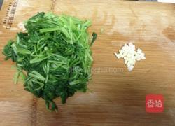 蒜蓉萝卜菜的做法图解4