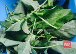 蒜香空心菜的做法图解1