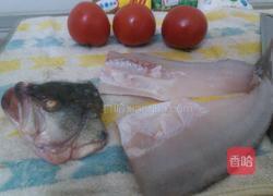 茄汁鲈鱼的做法图解4