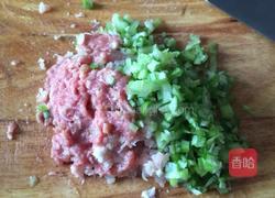 瓜皮猪肉锅贴的做法图解5