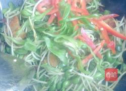 豆苗炒肉的做法图解6