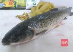 酸菜煮鲩鱼的做法图解2