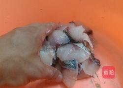 酸菜煮鲩鱼的做法图解9