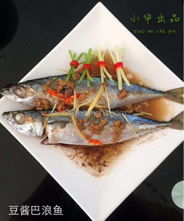 豆酱巴浪鱼