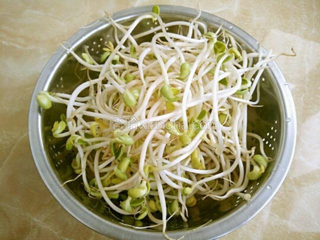 将黄豆芽清洗干净捞出控水备用