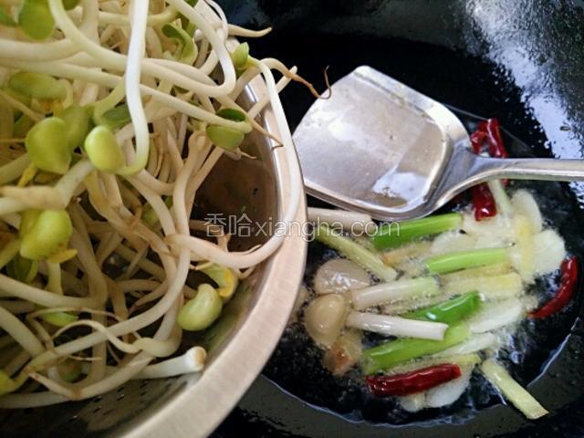 接着放入黄豆芽翻炒均匀
