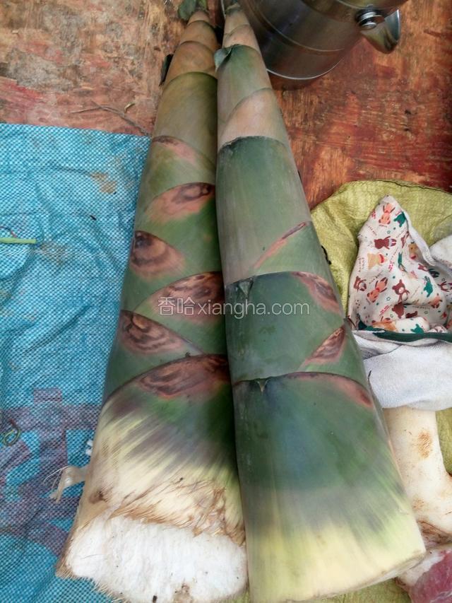 看见鲜笋好大一个约6斤，此菜只需500克就够