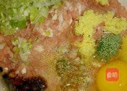 红烧狮子头的做法图解3